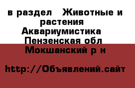  в раздел : Животные и растения » Аквариумистика . Пензенская обл.,Мокшанский р-н